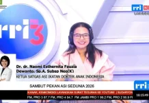 IDAI: Capaian ASI Eksklusif Indonesia Terus Tunjukkan Tren Positif