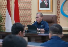 BPS: Produksi Padi dan Jagung Naik Tipis pada Semester I 2026