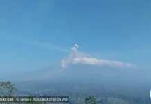 Gunung Semeru Erupsi, Letusan Capai 700 Meter