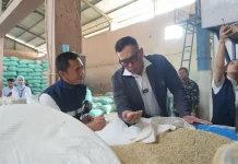 BPS Proyeksikan Produksi Beras Capai 28,71 Juta Ton September 2026