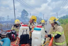BNPB Koordinasikan Penanganan Karhutla di Dua Kabupaten Bangka Belitung