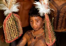 Ritual Semut Peluru, Tradisi Ujian Kedewasaan Suku Sateré-Mawé