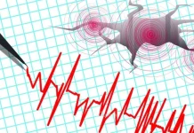 Gempa Magnitudo 3,5 Getarkan Pacitan Jawa Timur
