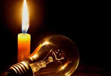 Pemadaman Listrik Kalteng Buat Rugi Peternak, Muncul Desakan Evaluasi PLN