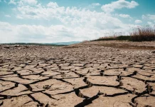 BMKG Perkuat Sistem Peringatan Dini Hadapi El Nino Kuat 2026