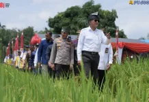 Kementerian PU Percepat Rehabilitasi Irigasi Kuansing Dukung Swasembada Pangan