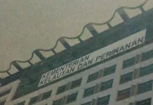 KKP Kembangkan Tambak Udang Modern di Kebumen