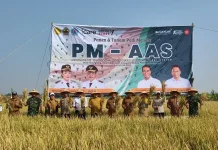 PM-AAS Dongkrak Produktivitas Padi di Brebes