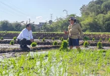 Mentan Hadiahi Traktor usai Dengar Keluhan Petani