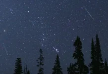 Hujan Meteor Perseid Capai Puncak 12-13 Agustus, NASA Ajak Publik Saksikan Bersama