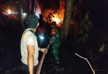 Madani Harap Status Darurat Karhutla Papua Selatan Diperpanjang hingga Desember