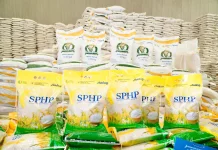 Bapanas Pastikan Beras Terjangkau di Alor