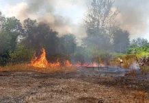 BNPB: Karhutla di Sejumlah Daerah Berhasil Dipadamkan