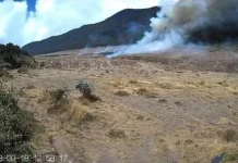 Kebakaran Suryakencana, Pendakian Gunung Gede Ditutup Empat Hari