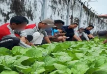 Kemenimipas Perkuat Pembinaan Warga Binaan untuk Tekan Kejahatan Berulang