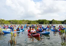 IMIP Dukung Penanaman Sejuta Mangrove di 37 Provinsi