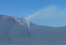 Kemenhut Tutup sementara Pendakian Gunung Gede Pangrango Pascakebakaran