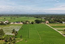 Pemerintah Kebut Pemulihan Lahan Sawah di Aceh, Jelang Musim Tanam