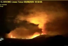Karhutla Gunung Bromo Meluas, 176 Hektare Terbakar