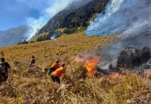 TNBTS: Karhutla Gunung Bromo Meluas akibat Angin Kencang
