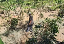 Satgas PRR: Lahan Rusak Berat di Aceh Perlu Kajian Khusus