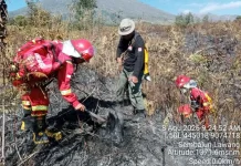 Karhutla di TN Gunung Rinjani Dipastikan Berhasil Dikendalikan
