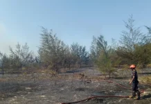 BMKG Deteksi 40 Titik Panas di Babel, Warga Diimbau Tak Bakar Lahan