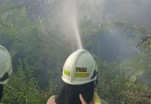 Damkar Beberkan Penyebab Kebakaran Lahan di Dekat Stasiun Kampung Bandan