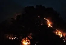 Menuju Puncak, Kebakaran Gunung Picung Cianjur Diduga dari Pembakaran Sampah