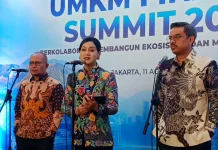 Bos OJK hingga Menteri UMKM Dukung Destry Damayanti Jadi Calon Tunggal Gubernur BI