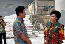 KOWANI Dorong Hilirisasi Singkong Perkuat Ekonomi Perempuan