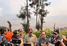 Tepis Isu Sakit, Pratikno Berada di Bromo Atasi Kebakaran