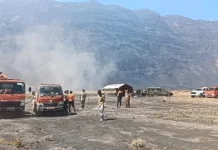 Kebakaran Hutan Gunung Bromo, Titik Panas Mulai Terlokalisasi