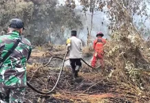 El Nino Menguat, Pemerintah Perketat Langkah Pencegahan Antisipasi Karhutla