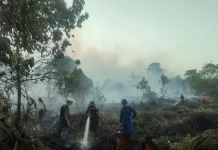 Kebakaran Hutan di Kotawaringin Barat Capai 160 Kejadian