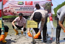 Semarak HUT ke-81 RI, Polres Kepulauan Seribu Hijaukan Pulau Harapan
