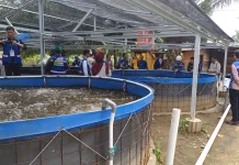 Harmoni Berkelanjutan dari Tanah Masam Menjadi Kehidupan di Kawasan IMIP