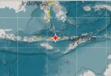 BMKG Perkirakan Stabilisasi Sesar Gempa NTT Butuh Waktu 2-3 Minggu
