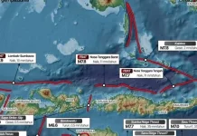 Gempa Flores Dangkal Picu Guncangan Kuat