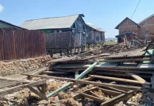 Pemerintah Turun Tangan, Posko Darurat Gempa NTT Segera Diaktifkan