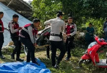 Gempa Magnitudo 7,7 Flores dan Tragedi 1992, Apa Hubungannya? Ini Kata BMKG dan Pakar