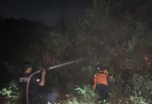 Karhutla Empat Hektare di Muara Enim Berhasil Dipadamkan