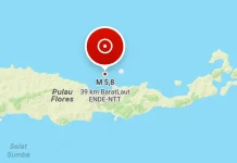 Pagi Ini, Gempa Bumi Magnitudo 5,8 Guncang Wilayah Ende NTT