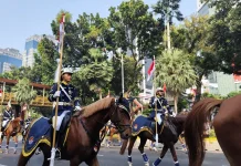 Dari Monas ke Istana, Semarak Kirab Warnai HUT ke-81 RI