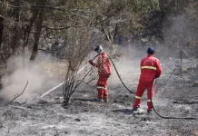 Kemenhut Lanjutkan Pendinginan Area Karhutla Gunung Bromo