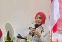 HUT RI, Fahira: Kemandirian Daerah Kunci Indonesia Berdaulat, Adil, dan Makmur