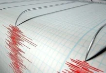 Gempa Magnitudo 2,4 Getarkan Pacitan Jawa Timur