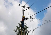 PLN Berhasil Pulihkan Total Kelistrikan Flores Pasca Gempa M7,7