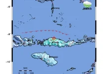 Gempa M5,8 Guncang Flores, BMKG Pastikan Tak Berpotensi Tsunami