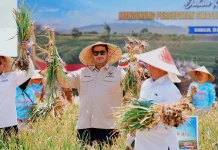 Legislator Apresiasi Gerak Cepat Polri Dorong Swasembada Bawang Putih
